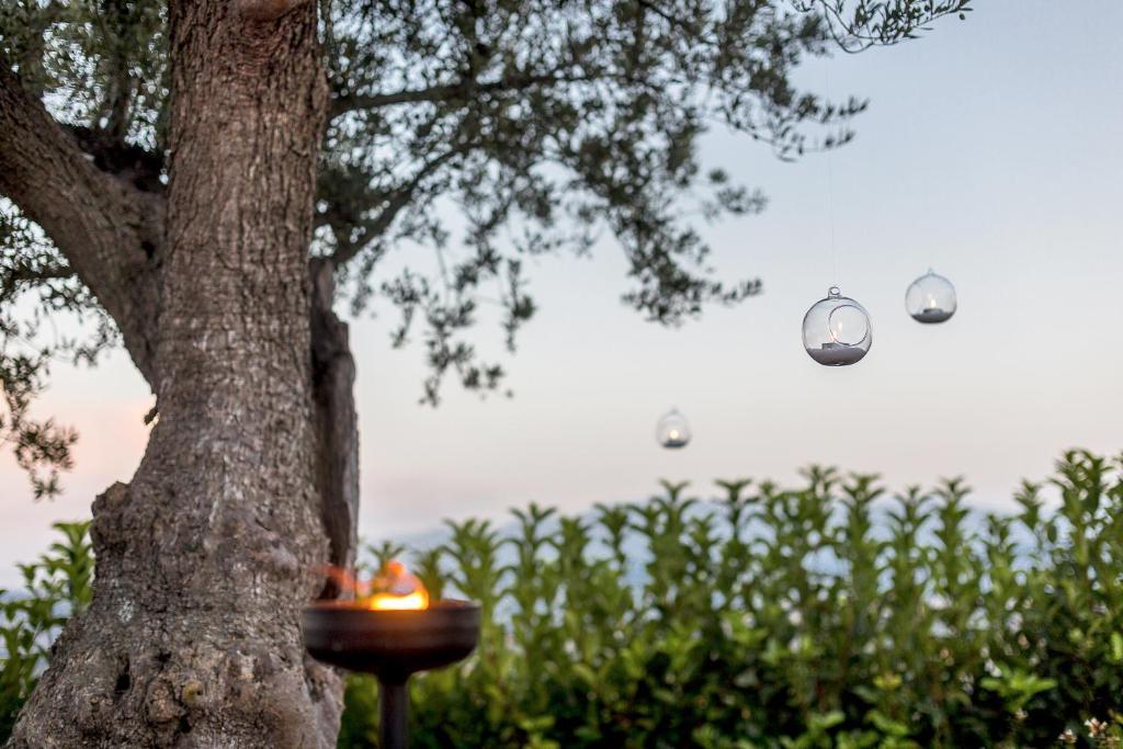 Casale Santa Maria Country House Mosciano SantʼAngelo Εξωτερικό φωτογραφία